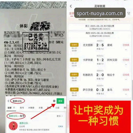 诺亚体育平台深度分析：从新手到高手的全面攻略